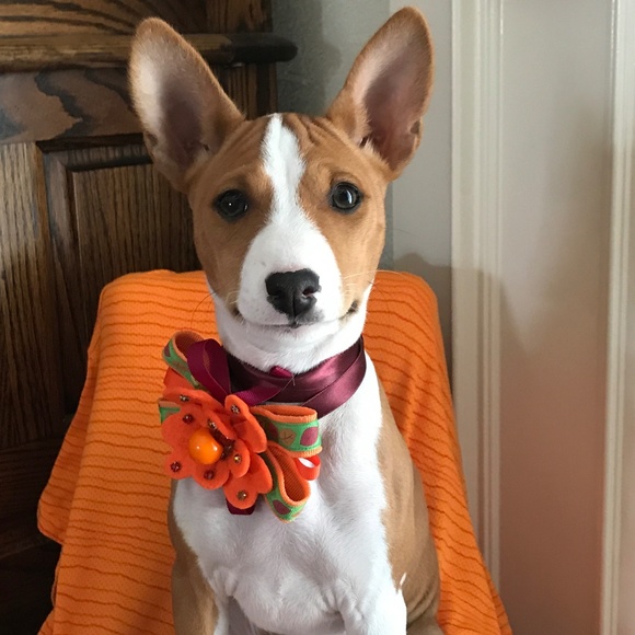 My baby pic! 🧡 - Picture 1 of 15